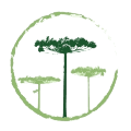 Logotipo Alto dos Pinheiros