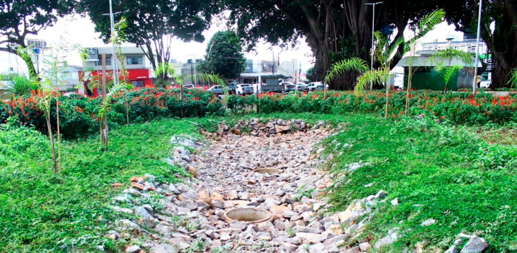 Jardim de chuva amenizando o impacto das chuvas nas grandes cidades.
