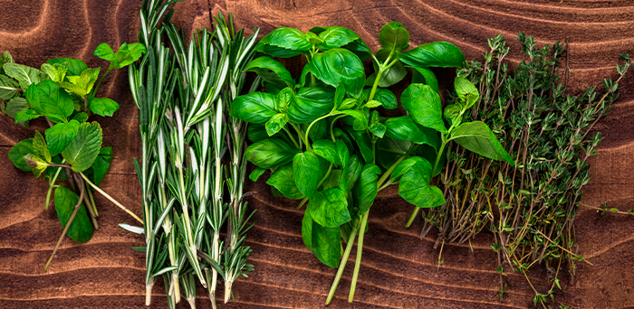 Escolha o que vai plantar em sua horta com atenção e economize um dinheirinho na feira do bairro.