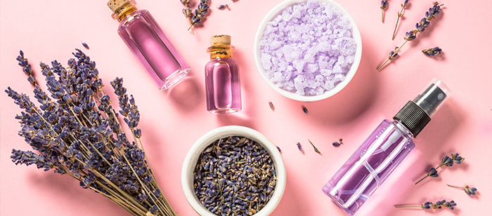 Lavanda é uma das plantas que funcionam como repelente natural.