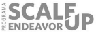 logo Scale-Up Endeavor